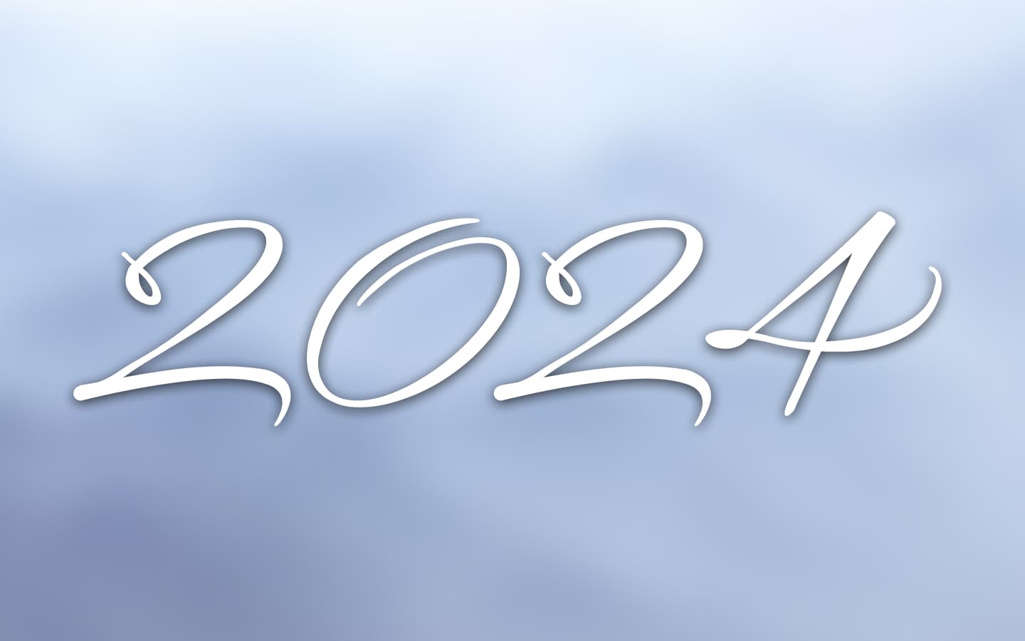 我的 2024