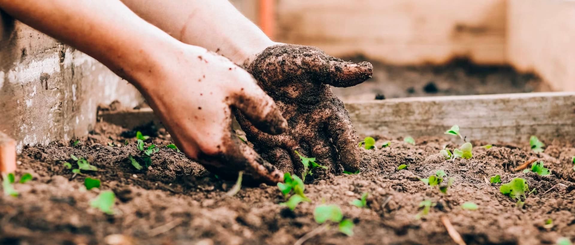 [中文] Gardening